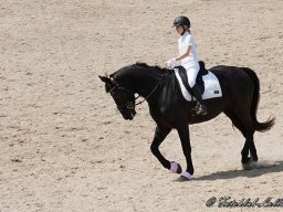 img-99682-616